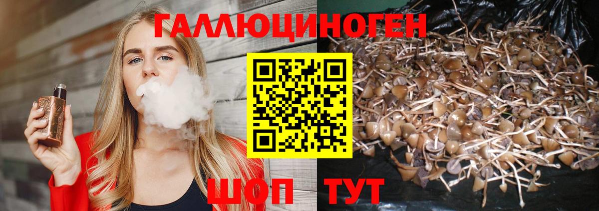 Новороссийск  как найти закладки  Вход с VPN  Псилоцибиновые грибы ЛСД 